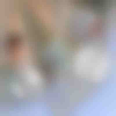 Ταινία επισκευής για κουνουπιέρες | INSECTAPE