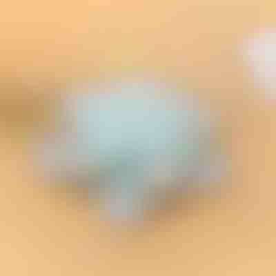 Περιστρεφόμενο δοχείο | SNACKARO