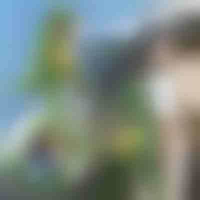 3D σακίδιο πλάτης σε σχήμα δεινοσαύρου | DINOBACK