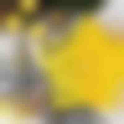 Κουπάτ Μπισκότων σε Σχήμα Αστεριού (6τμχ) | STARCUTS