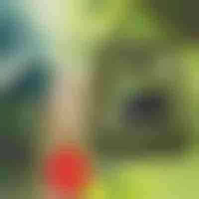 Φορητό ντους | SHOWDY