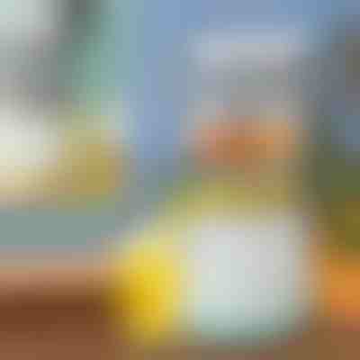 Αποχυμωτής φρούτων | VITAPRESS