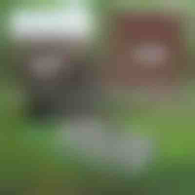 Πολυλειτουργικό εργαλείο κήπου για τη συντήρηση του εδάφους | PRONGSPRO