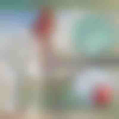 Τηλεσκοπικό μεταλλικό γάντζο σκάφους | FASTDOCK