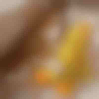 Μαλακό λούτρινο παιχνίδι που κάνει ήχο πάπιας | CALMQUA